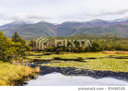 [Hokkaido/Shiretoko] Autumn of Shiretoko Goko October 95486589
