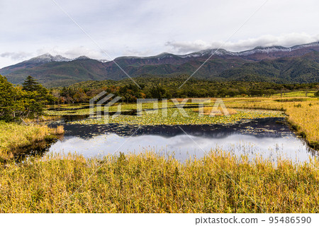 [Hokkaido/Shiretoko] Autumn of Shiretoko Goko October 95486590