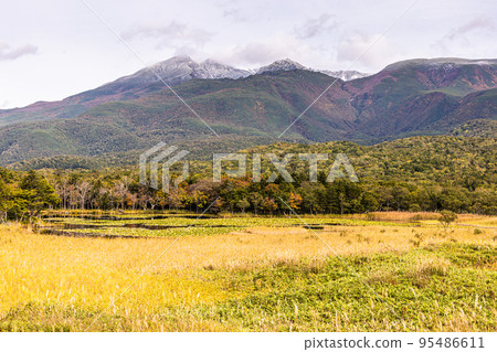 [北海道/知床]知床五光的秋天十月 95486611