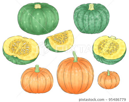 各種南瓜（1號線顏色） 95486779