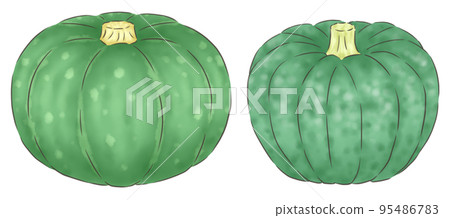 Western pumpkin and Japanese pumpkin (1 line color) Western pumpkin and Japanese pumpkin (1 line color) 95486783