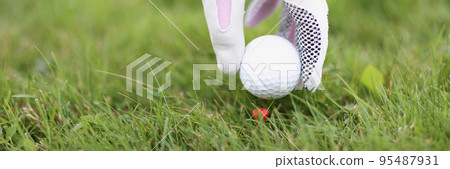 Professional golf player put ball on holder on green play field Professional golf player put ball on holder on green play field 95487931