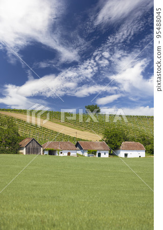 Traditional wine cellars street in Diepolz near Mailberg, Lower Austria, Austria 95488045