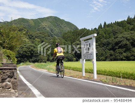 Summer Maple Yaba Cycling Road Near Old Chuma Station 95488494
