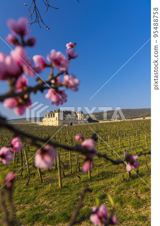 Clos de Vougeot castle, Cote de Nuits, Burgundy, France 95488758