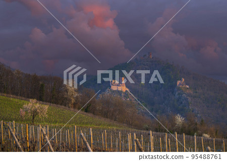 Chateau de Saint-Ulrich ruins, Chateau du Girsberg ruins and Chateau du Haut-Ribeaupierre near Ribeauville, Alsace, France 95488761