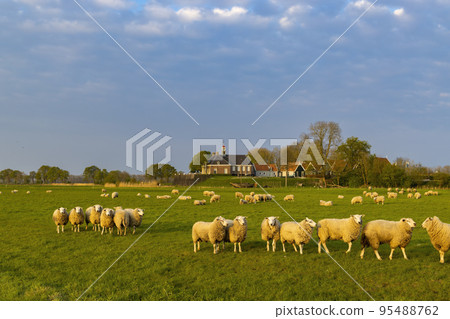 Former island of Schokland, UNESCO World Heritage Site, Netherlands Former island of Schokland, UNESCO World Heritage Site, Netherlands 95488762
