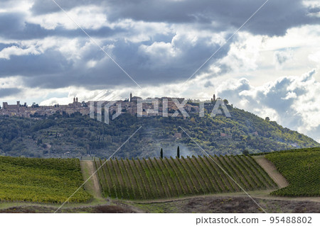 Typical Tuscan landscape with vineyard near Montalcino, Tuscany, Italy Typical Tuscan landscape with vineyard near Montalcino, Tuscany, Italy 95488802