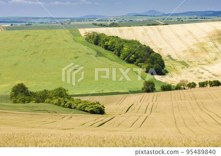 landscape called Moravian Tuscany, Southern Moravia, Czech Republic 95489840