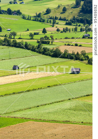 landscape near Kaprun, Salzburgerland, Austria 95489892