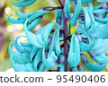 Honeysuckle 95490406