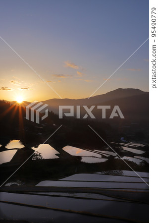 Sakaori terraced rice fields shining in the morning sun Sakaori terraced rice fields shining in the morning sun 95490779