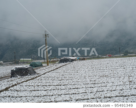 Nanshan Tribe 95491349