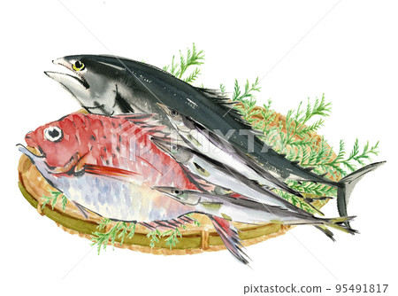 鰹魚、泰國和梭魚在水彩白背畫的濾鍋中的插圖 95491817