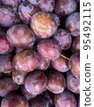 Fruit background,texture of garden plums. Studio Photo 95492115