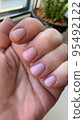 Short nails with colored nail polish on woman's hand. Stuio Photo 95492122