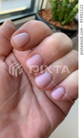 Short nails with colored nail polish on woman's hand. Stuio Photo Short nails with colored nail polish on woman's hand. Stuio Photo 95492122