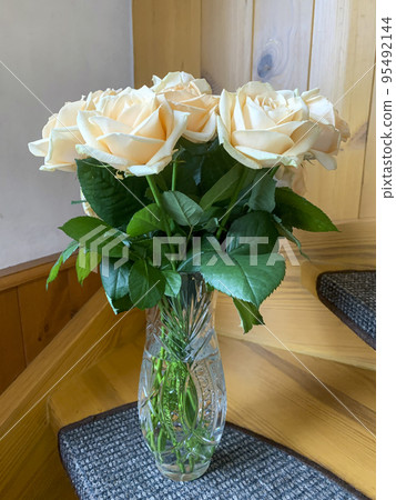 Bouquet of fresh roses in crystal vase. Studio Photo 95492144