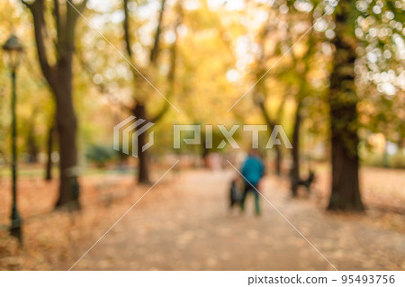 Beautiful autumn landscape with yellow trees and sun. Colorful foliage in the park. Falling leaves natural background 95493756