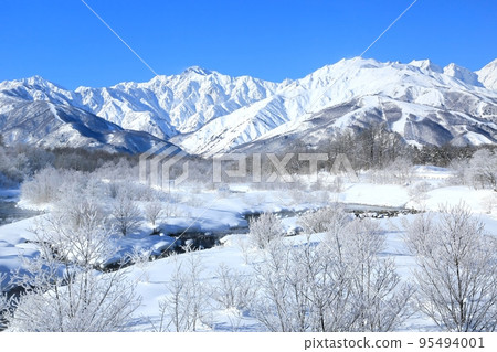 Hoarfrost and Northern Alps of Matsukawa, Hakuba Hoarfrost and Northern Alps of Matsukawa, Hakuba 95494001