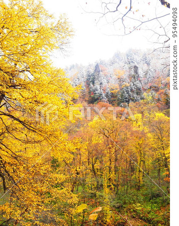 Great view of Hokkaido Tenninkyo Onsen autumn leaves 95494098