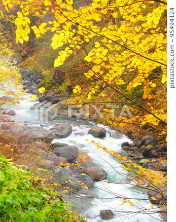 Great view of Hokkaido Tenninkyo Onsen autumn leaves Great view of Hokkaido Tenninkyo Onsen autumn leaves 95494124