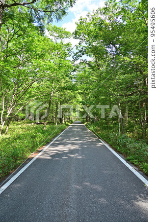 run in fresh green 95495606