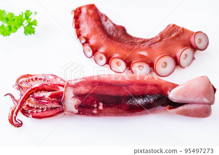 boiled squid and octopus boiled squid and octopus 95497273