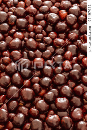 Vertical photo of horse chestnut (Aesculus hippocastanum) autumn background, high resolution 95497621