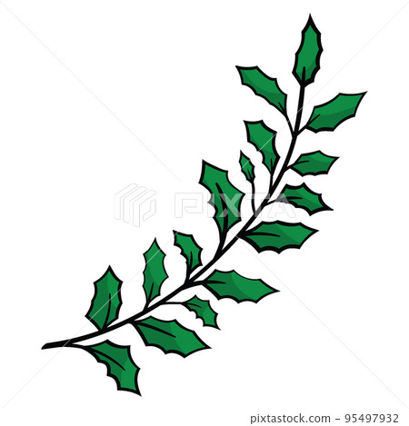 Christmas holly leaves with red berries 95497932