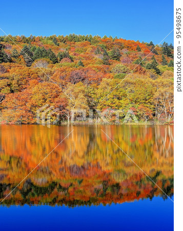 Kotorigaike of autumnal leaves 95498675