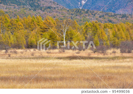 Autumn Okunikko Odashirogahara Autumn Okunikko Odashirogahara 95499036