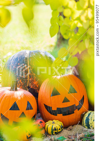 Halloween/late autumn image 95499077