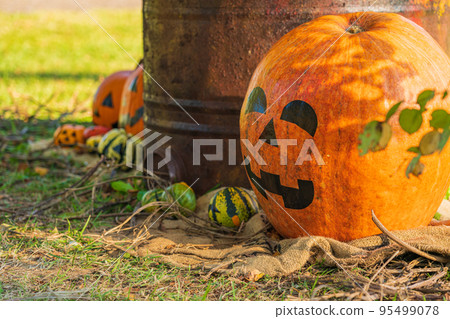 Halloween/late autumn image 95499078