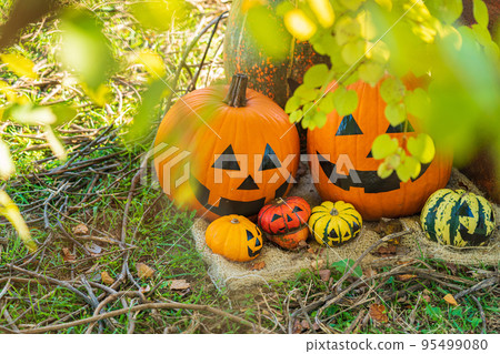 Halloween/late autumn image 95499080