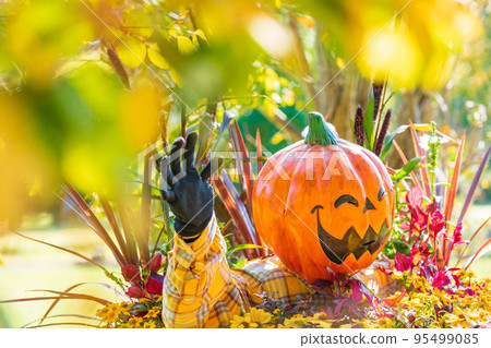 萬聖節/深秋圖像 95499085