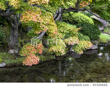 Ritsurin Garden in autumn cold (early October) Ritsurin Garden in autumn cold (early October) 95500688