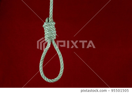 Hangmans Noose Isolated on a Red Background Hangmans Noose Isolated on a Red Background 95501505