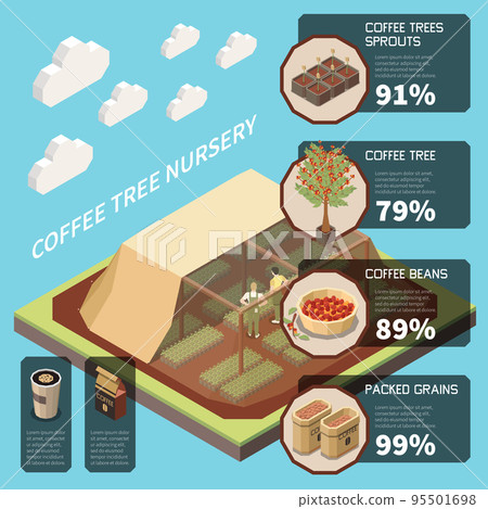 Coffee Tree Nursery Infographics Background 95501698