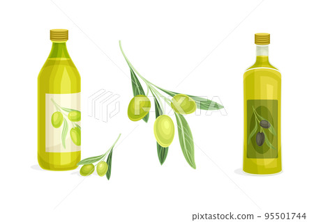 Olive Green Branch and Oil in Glass Jar Vector Set 95501744