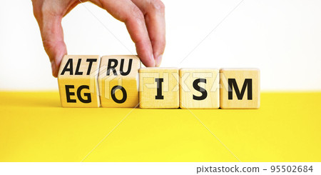 Altruism or egoism symbol. Concept words Egoism and Altruism on wooden cubes. Psychologist hand. Beautiful yellow table white background. Business psychological altruism or egoism concept. Copy space 95502684