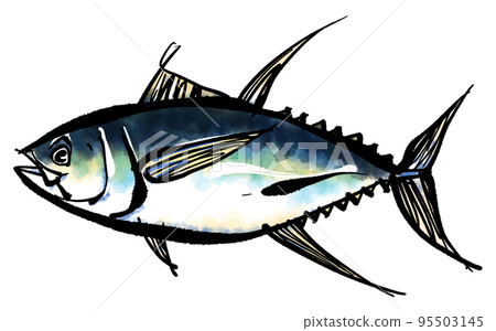黃鰭金槍魚手繪插圖（毛筆書寫風格） 95503145