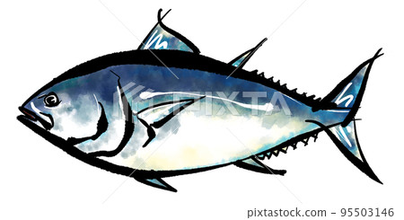 金槍魚的手繪插圖（毛筆書寫風格） 95503146