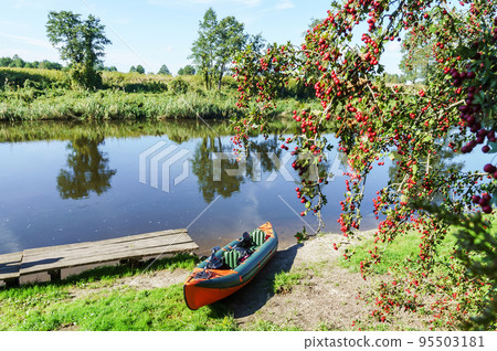 Canoeing trip on the river. Rafting in kayaks. Active recreation on the water. 95503181