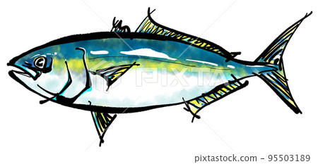 黃尾魚的手繪插圖（毛筆書寫風格） 95503189