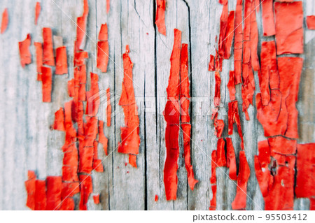 Natural texture for background and design. Old cracked flaking bright red paint on wooden wall or door. Weathered rough painted surface with patterns of cracks and peeling. Soft selective focus, macro Natural texture for background and design. Old cracked flaking bright red paint on wooden wall or door. Weathered rough painted surface with patterns of cracks and peeling. Soft selective focus, macro 95503412