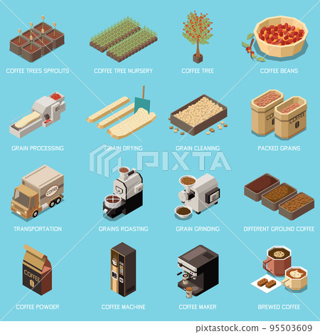 Coffee Production Industry Isometric Icons 95503609