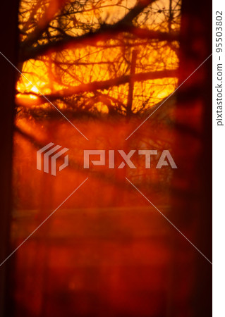 Dark mystical motion bokeh autumn park background Dark mystical motion bokeh autumn park background 95503802