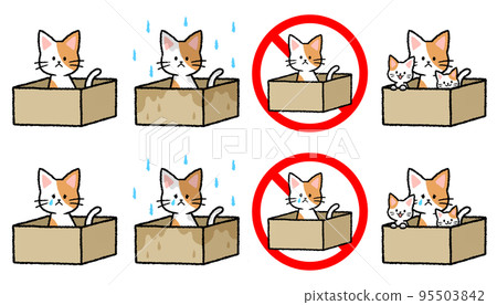 被遺棄的貓套裝 95503842