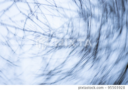 Blurry old and dead tree on white background 95503928